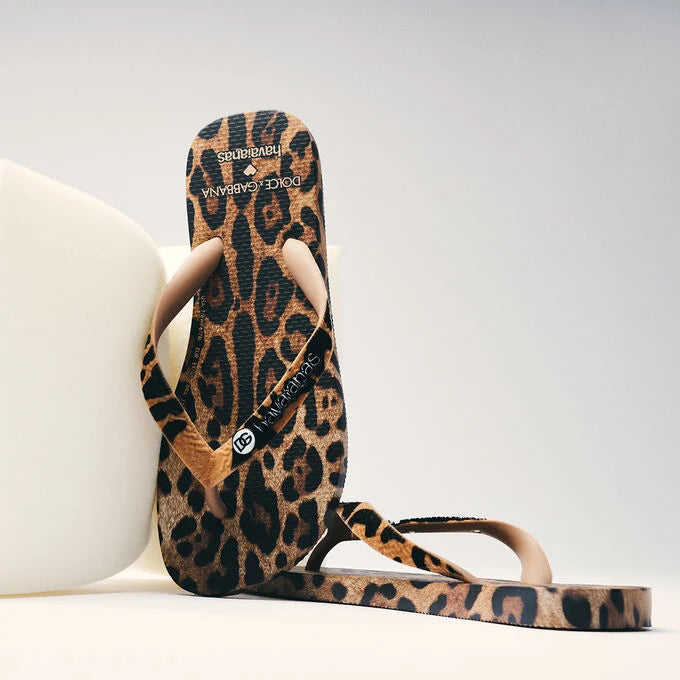 Chinelo Havaianas Dolce&Gabbana Leopard