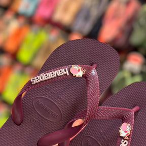 Havaianas Top Senses + Pin Placa Logo + Pin Animais