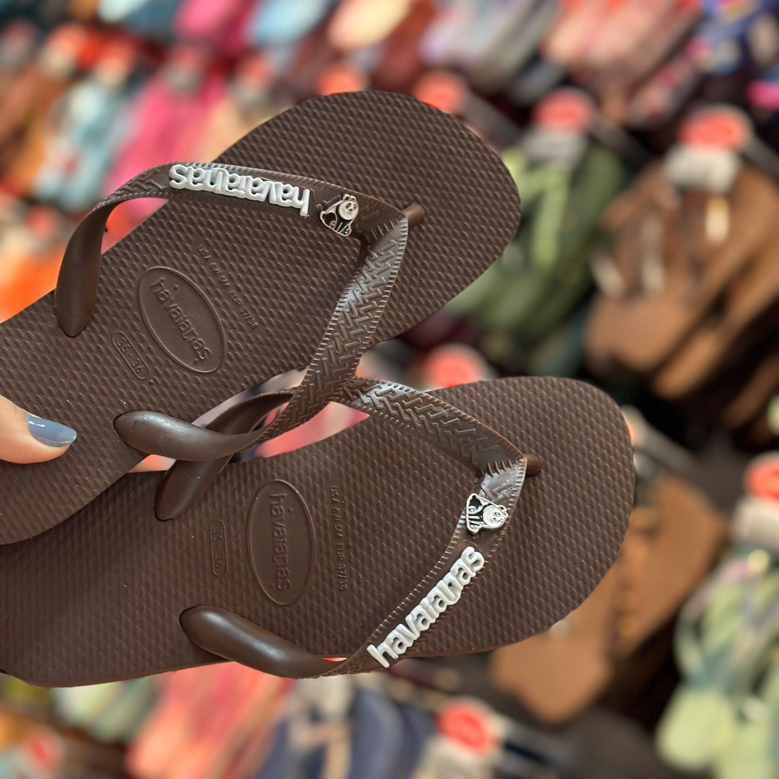 Havaianas Top Senses + Pin Placa Logo + Pin Animais