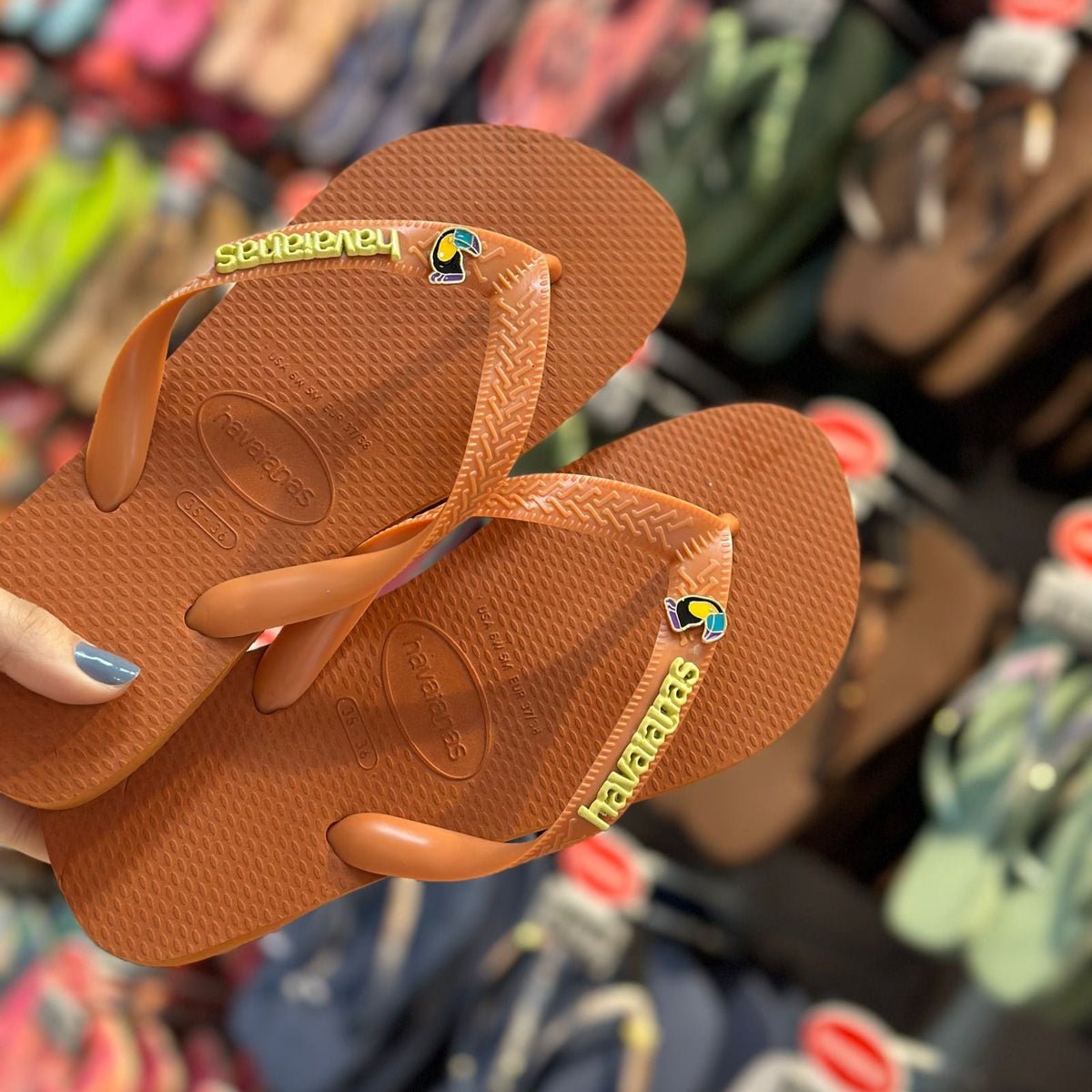 Havaianas Top Senses + Pin Placa Logo + Pin Animais