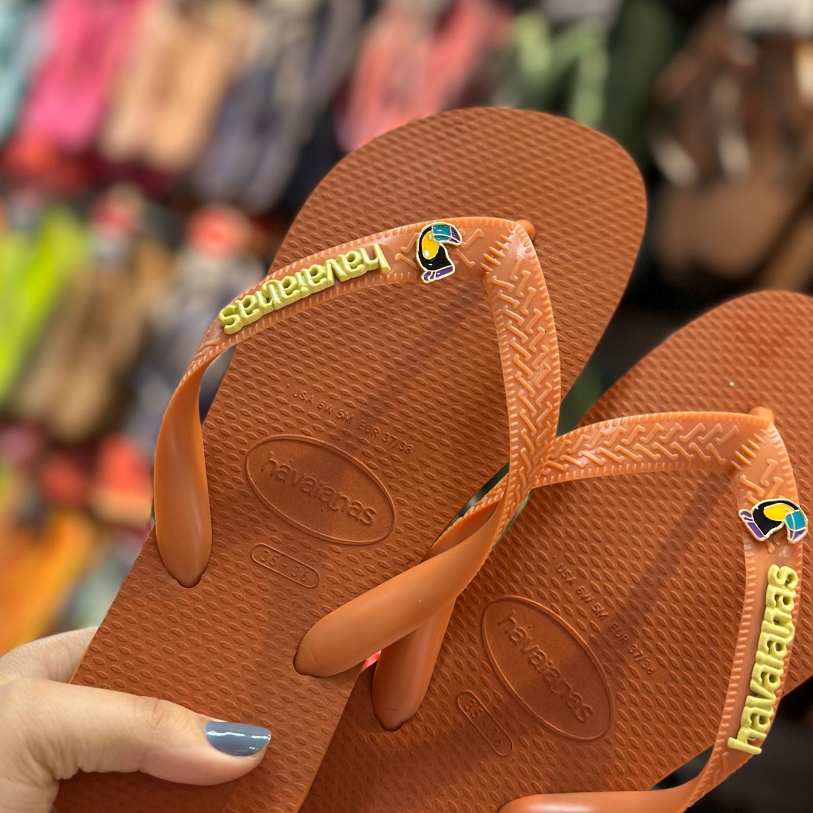 Havaianas Top Senses + Pin Placa Logo + Pin Animais